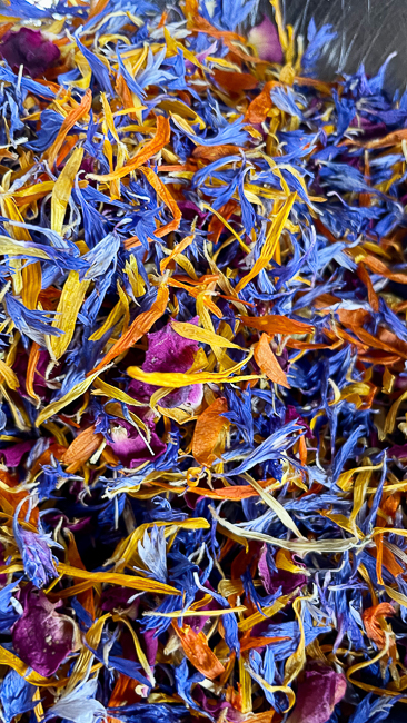 pétales de fleurs séchées